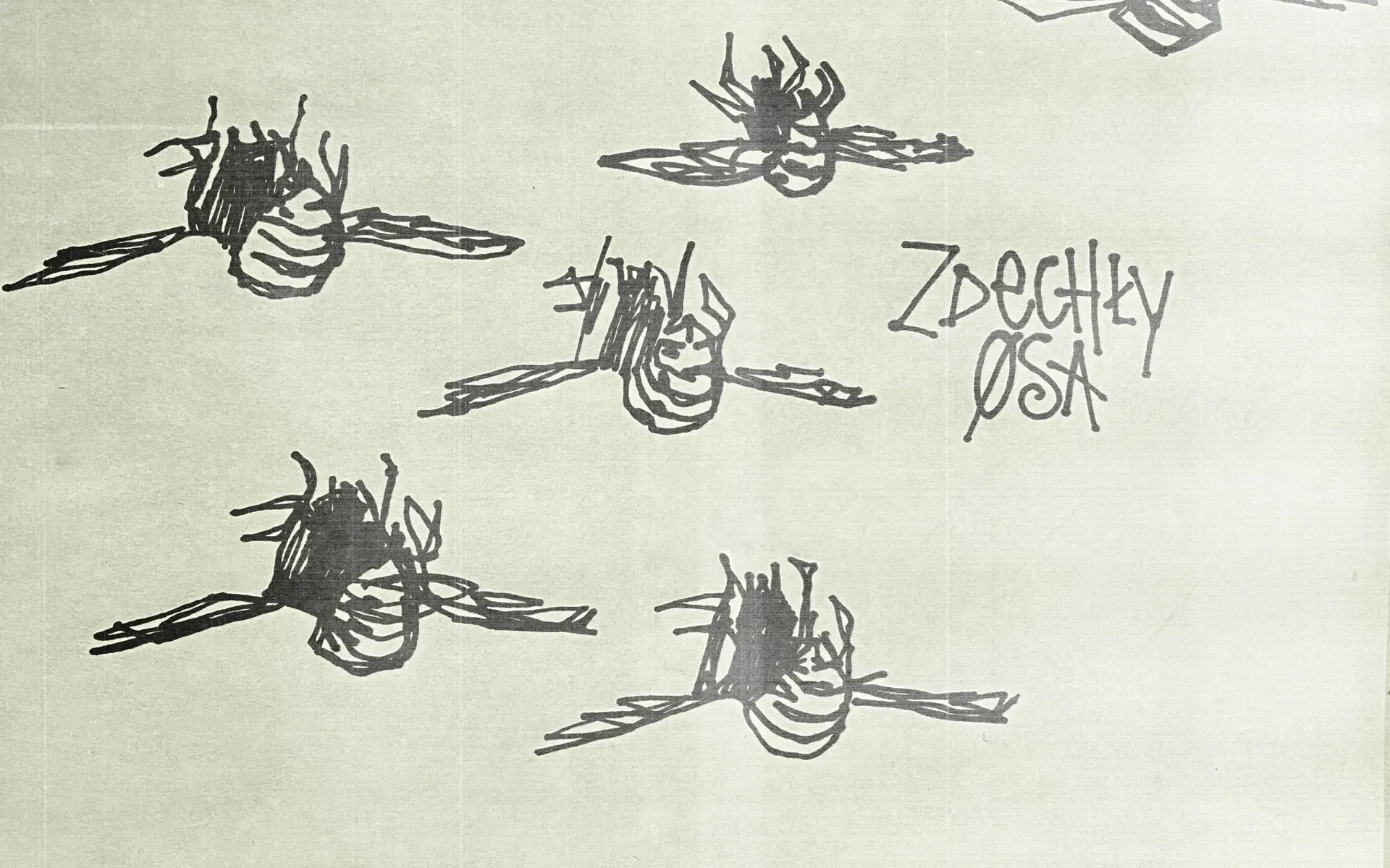 Sprzedałem dupe — image 6